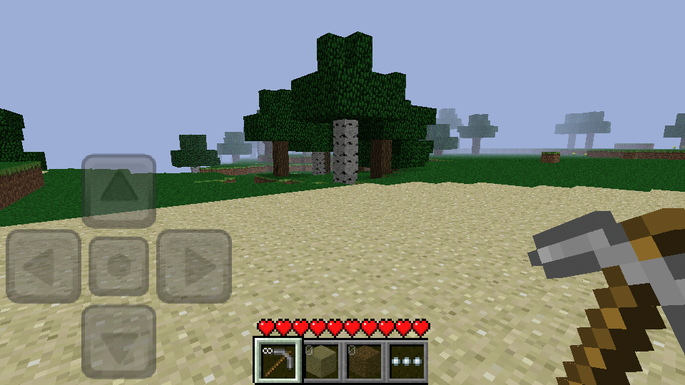 Pocket Edition 020 in game