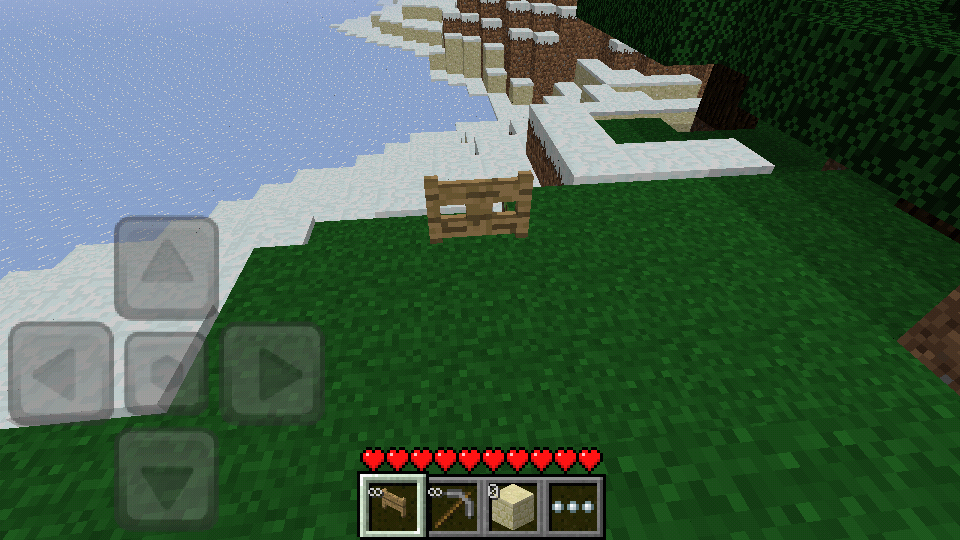 Pocket Edition 021 in game